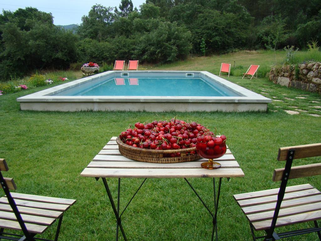 Quinta De Seves Guest House Covilha Luaran gambar