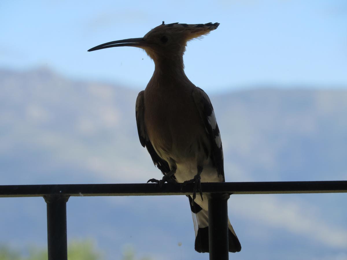Quinta De Seves Guest House Covilha Luaran gambar