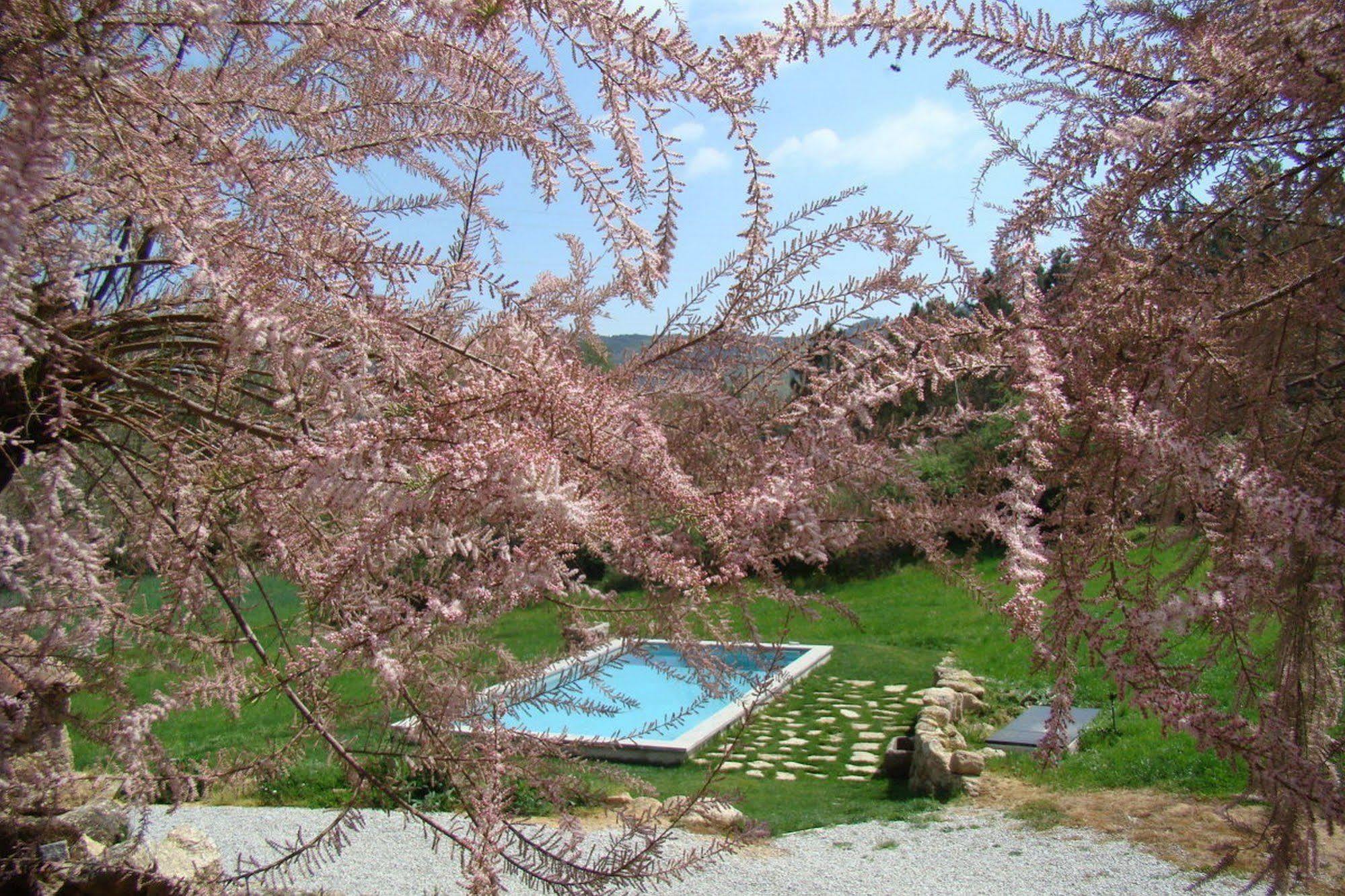 Quinta De Seves Guest House Covilha Luaran gambar
